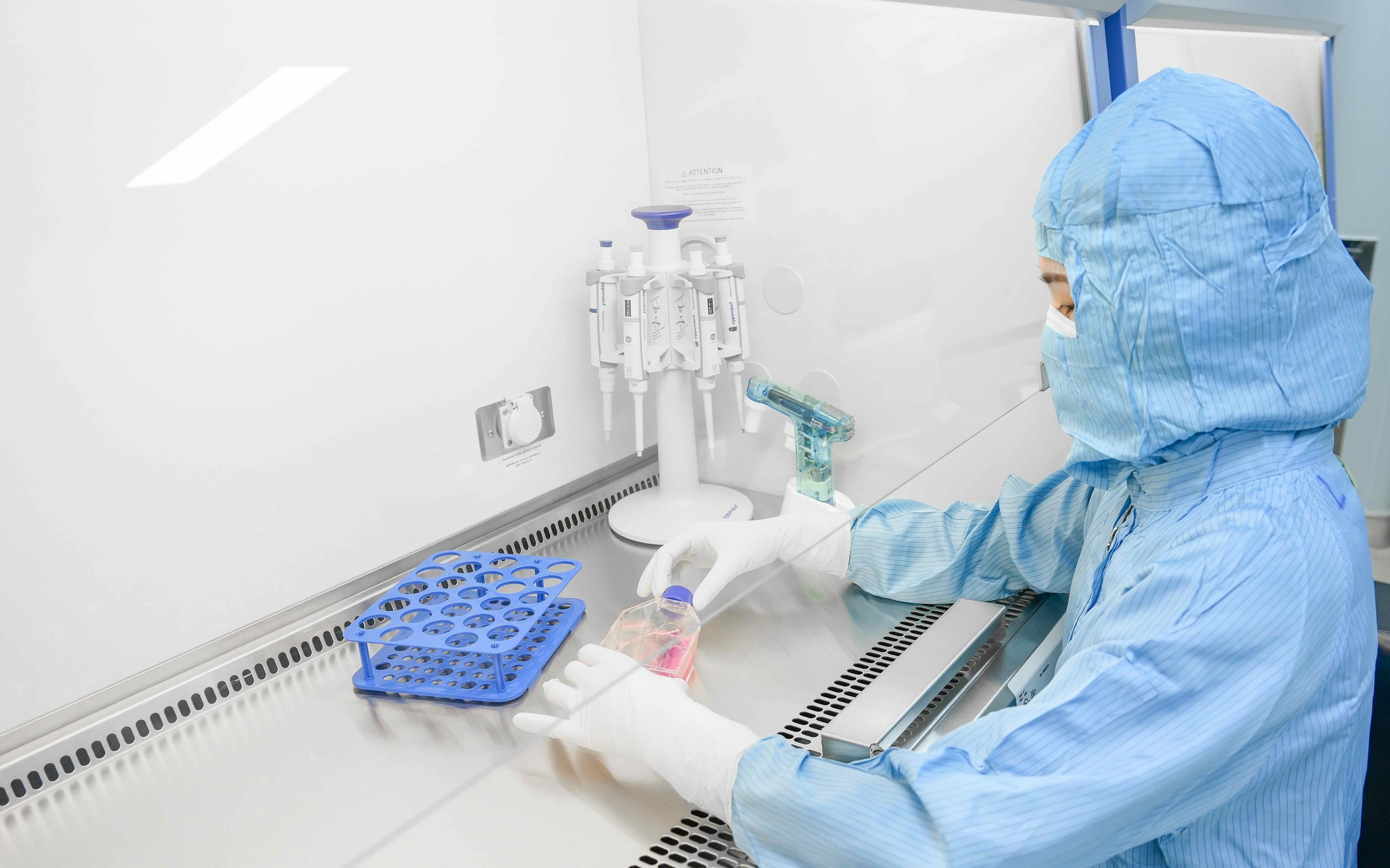 anh 1 17762237827981854656801 35 0 1635 2560 crop 1776223846245230125952