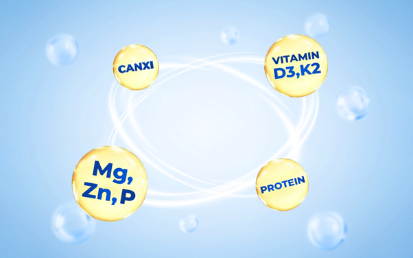 Vai trò của thực phẩm dinh dưỡng y học trong hỗ trợ phục hồi xương khớp cho người trung niên, cao tuổi- Ảnh 2.