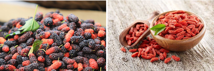 Làm đẹp da và ngủ ngon với 5 loại nước uống từ dâu tằm- Ảnh 1.