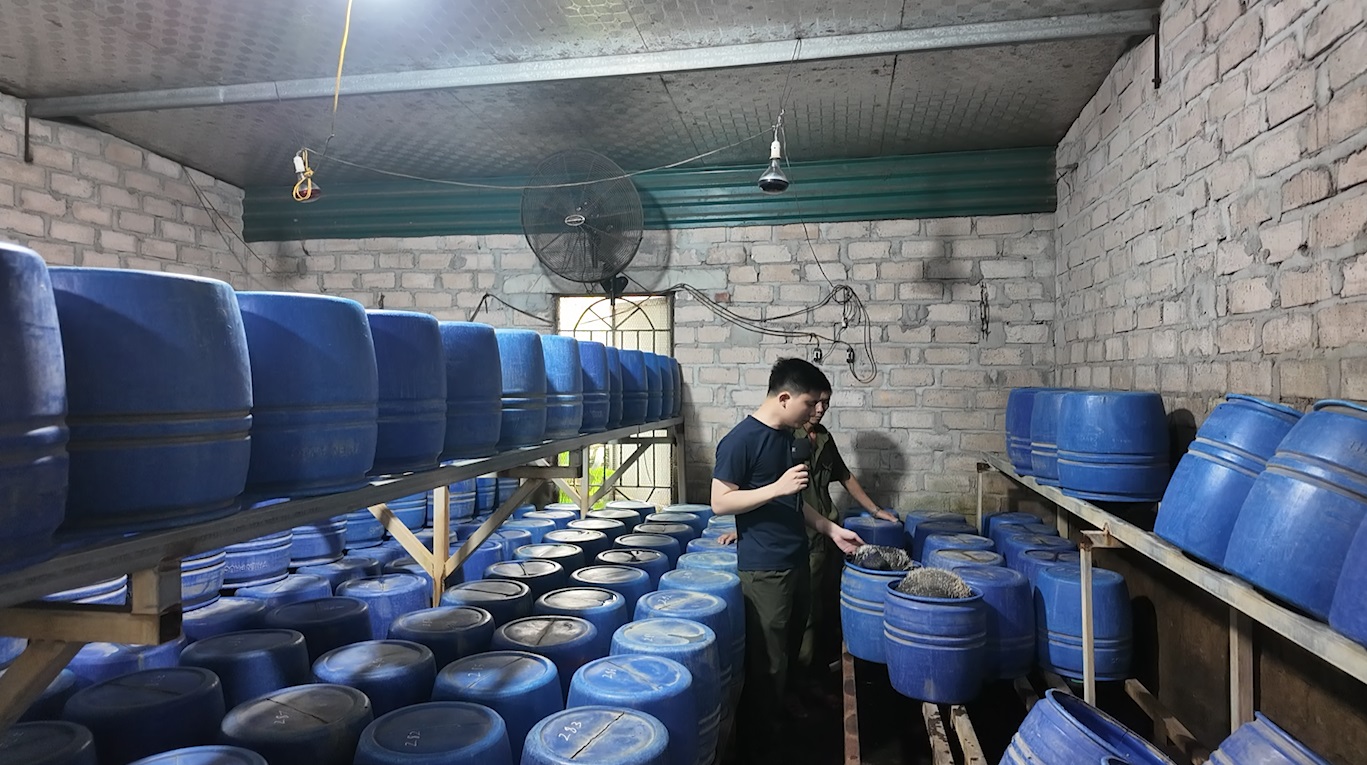 Cận cảnh nhà xưởng sản xuất 4 tấn giá đỗ sử dụng chất cấm- Ảnh 2.