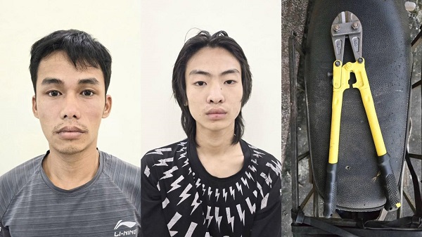 Tuyên Quang: Nghiện game, 2 đối tượng thực hiện 17 vụ trộm dây điện trạm biến áp- Ảnh 1.