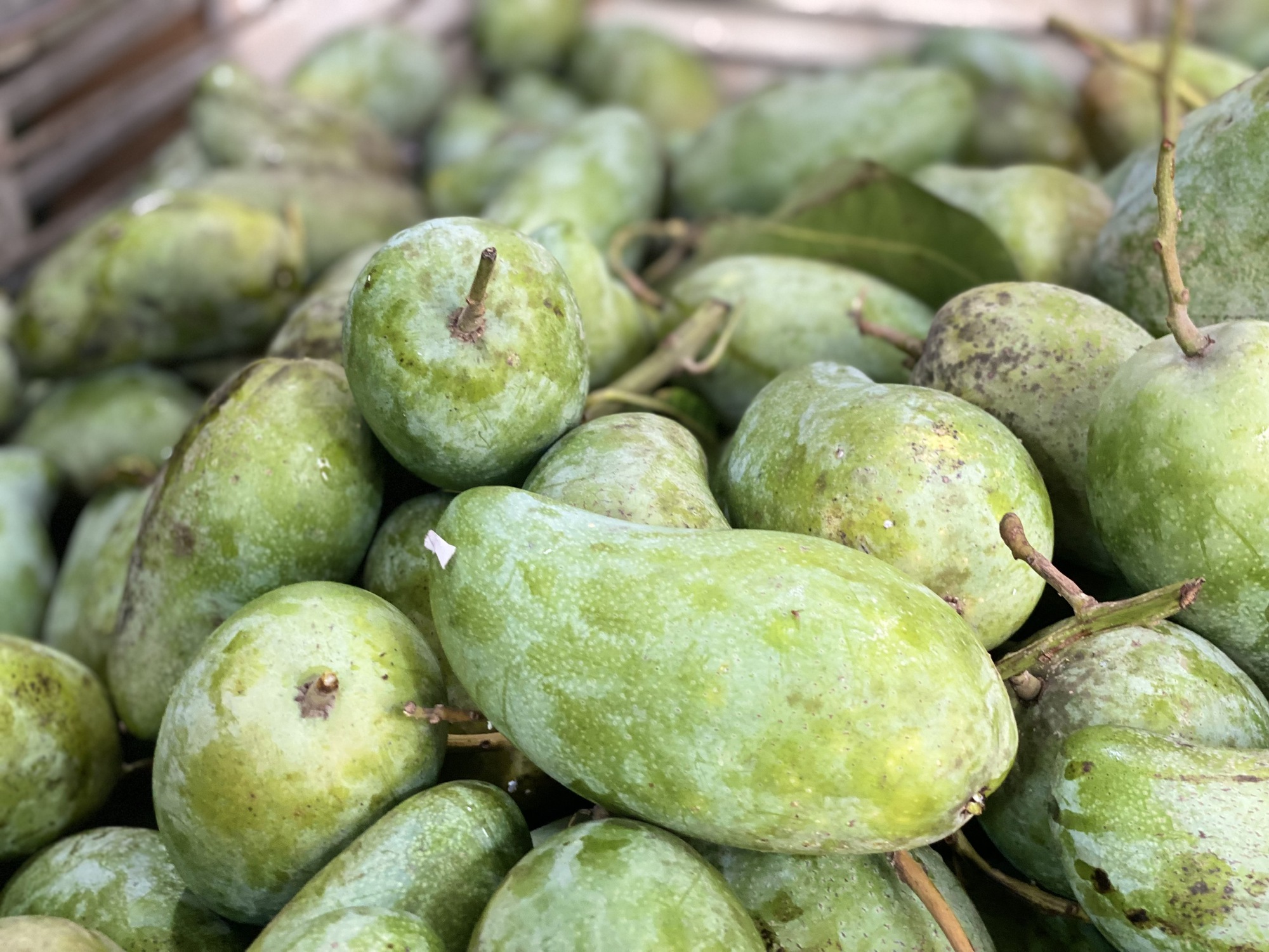 Một loại quả Việt bán đầy chợ giá rẻ bèo, xuất khẩu sang nước ngoài bán đắt như ‘vàng’- Ảnh 4.