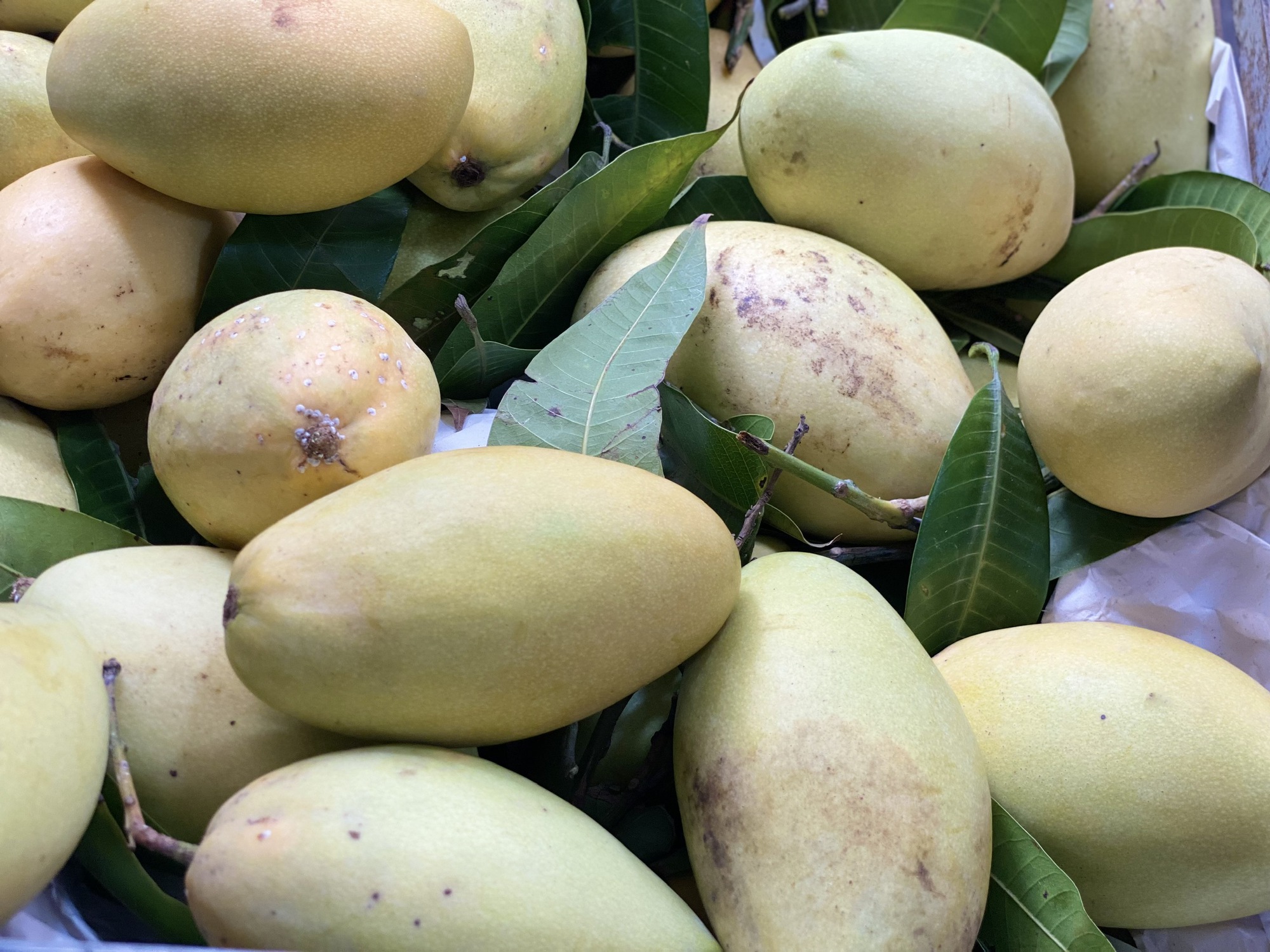 Một loại quả Việt bán đầy chợ giá rẻ bèo, xuất khẩu sang nước ngoài bán đắt như ‘vàng’- Ảnh 3.