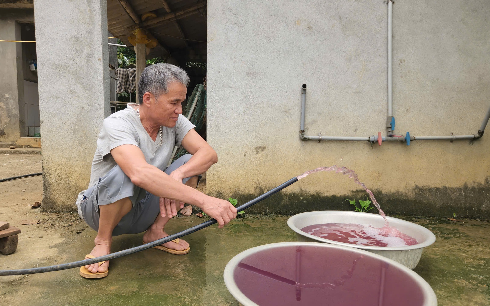 Phạt trang trại nuôi lợn hơn 400 triệu đồng vì xả thải vượt quy chuẩn- Ảnh 3.