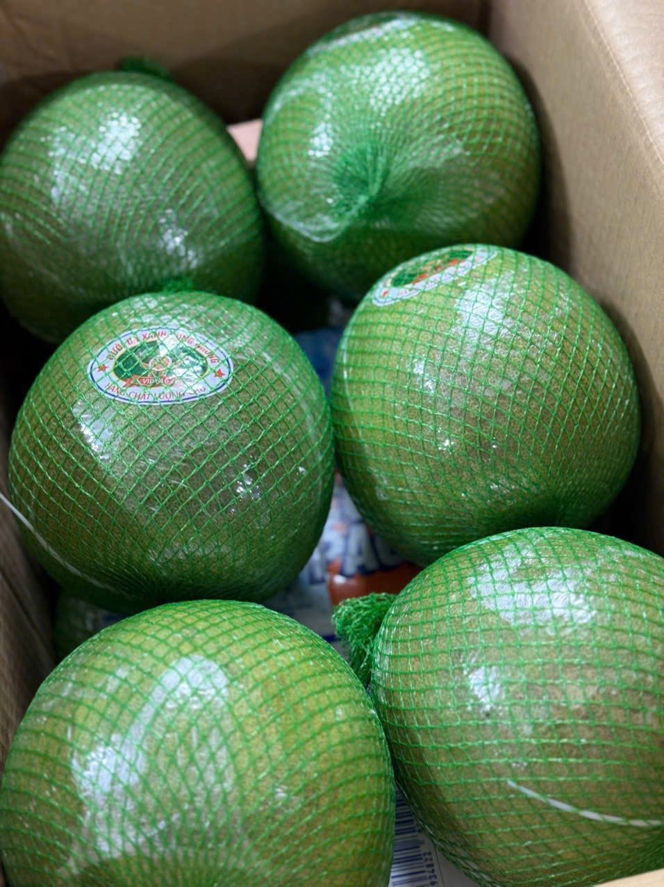 Một loại quả quen thuộc bán đầy chợ Việt chính thức có ‘visa’ sang Trung Quốc ai ăn một lần cũng nhớ mãi- Ảnh 3.