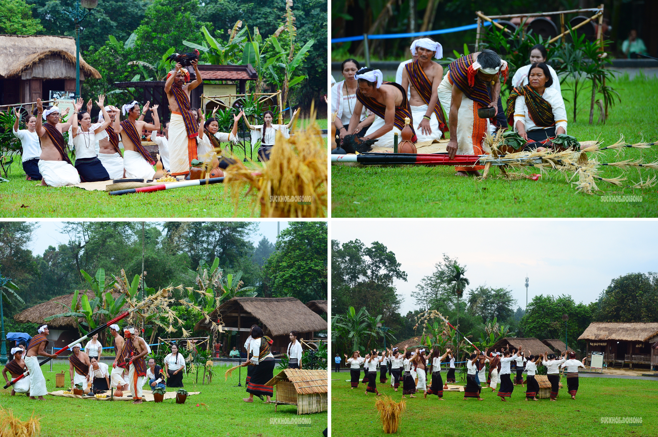 [Ảnh] Người Chu Ru mang mùa vàng từ đại ngàn về Thủ đô- Ảnh 3.