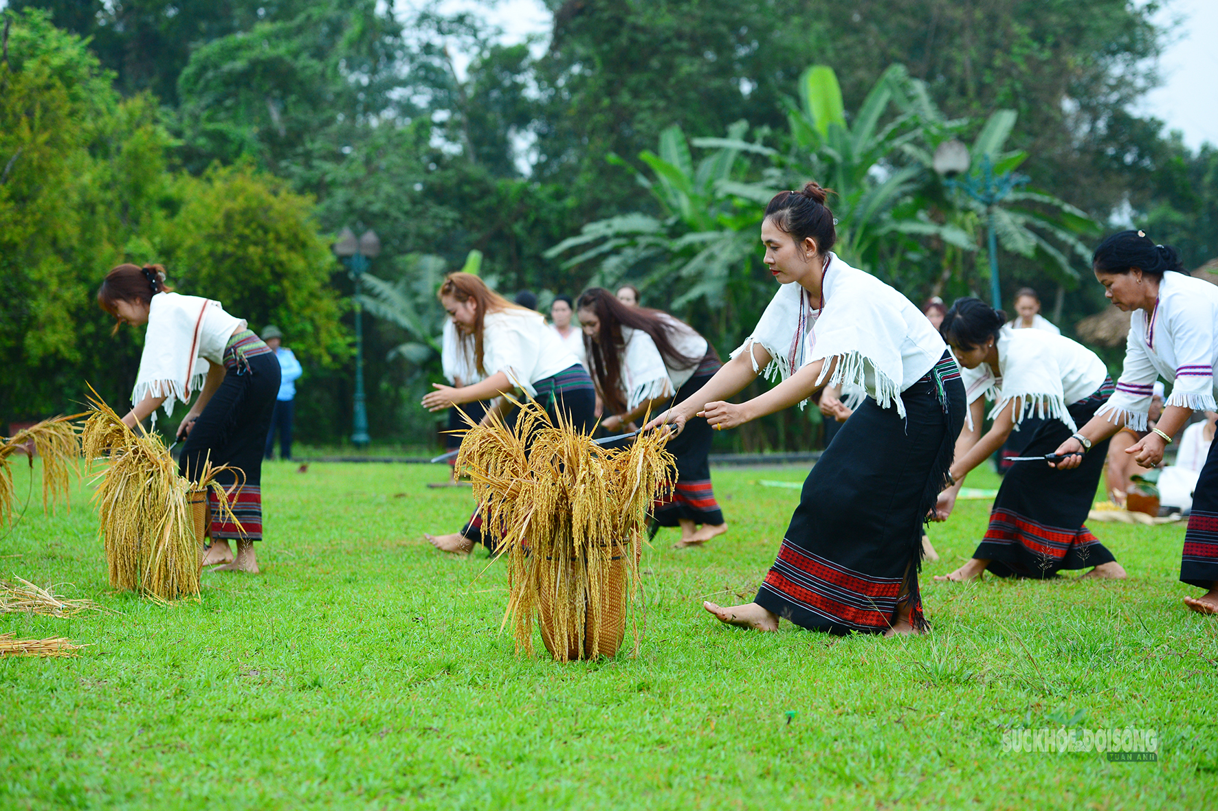 [Ảnh] Người Chu Ru mang mùa vàng từ đại ngàn về Thủ đô- Ảnh 5.