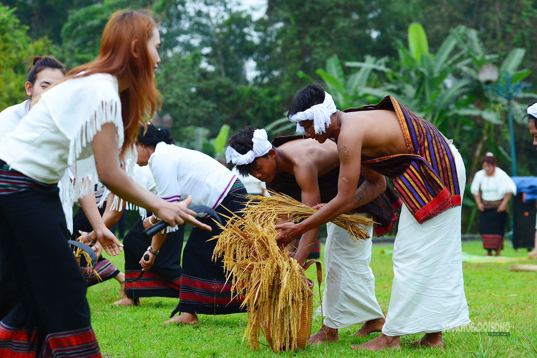 [Ảnh] Người Chu Ru mang mùa vàng từ đại ngàn về Thủ đô- Ảnh 6.