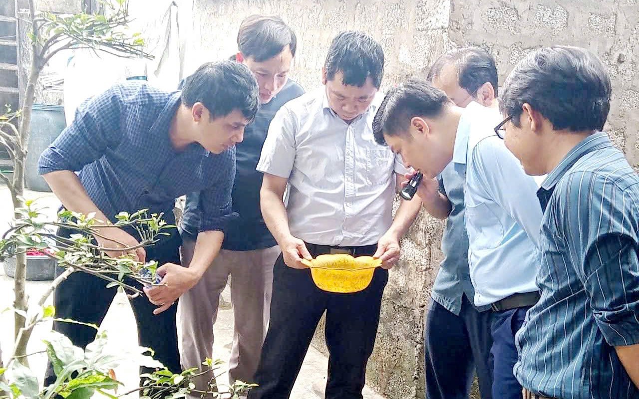 Siết chặt giám sát sốt xuất huyết tại Nghệ An trước mùa dịch 