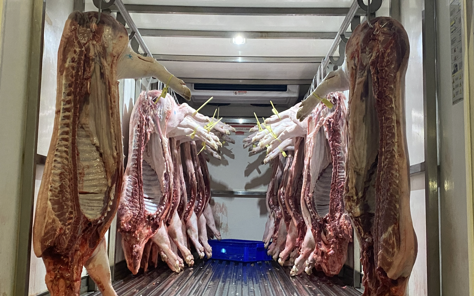 Hơn 100 học sinh tại TPHCM có triệu chứng đau bụng, nôn ói, nghi ngộ độc thực phẩm- Ảnh 2.