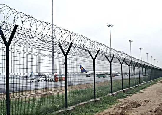 Nguy cơ mất an toàn hàng không từ động vật lọt vào khu bay- Ảnh 2.