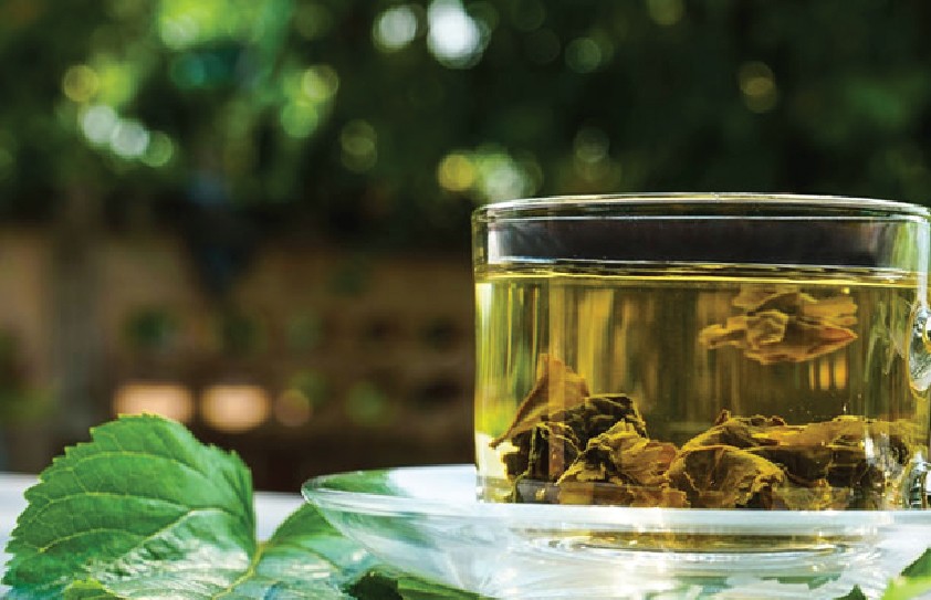 Cách dùng lá dâu tằm cải thiện giấc ngủ- Ảnh 3.