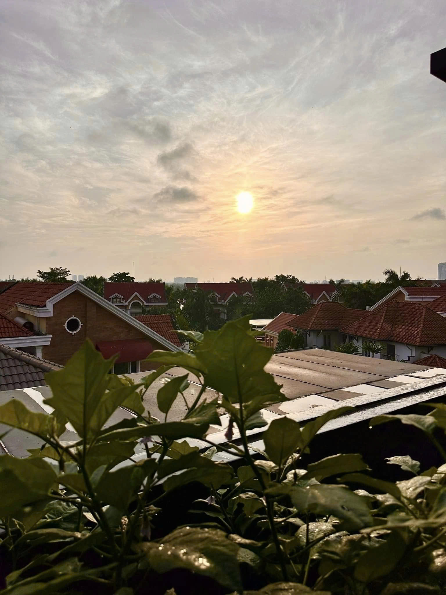 Nữ diễn viên là mẹ đơn thân ở tuổi 33 sở hữu 3 công ty, nhà 100m2 quận 7 và 4 phim trăm tỷ- Ảnh 10.