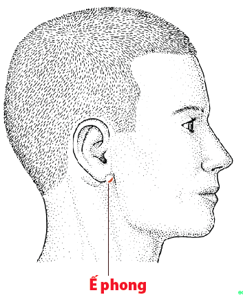 5 huyệt đạo giúp giảm chóng mặt, ù tai- Ảnh 5.