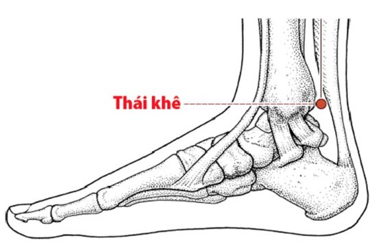 5 huyệt đạo giúp giảm chóng mặt, ù tai- Ảnh 3.