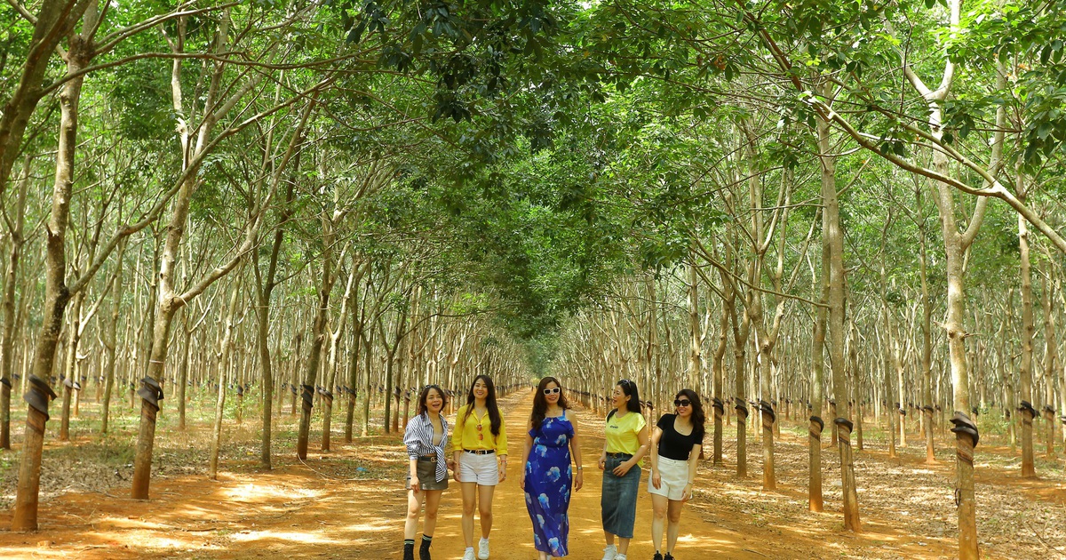Kinh nghiệm đi du lịch tiết kiệm tiền nhiều lợi ích