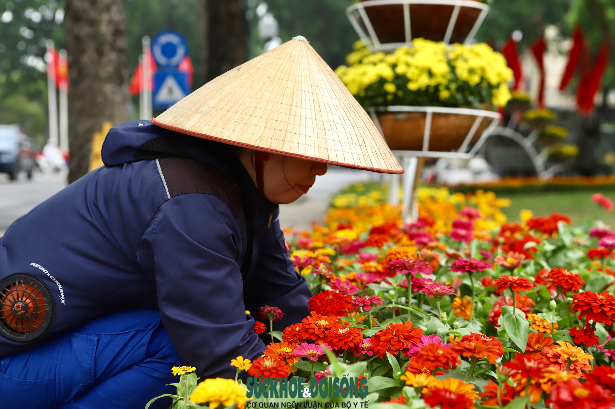 Phố phường Hà Nội rực rỡ cờ hoa hướng về ngày 30/4 và
Quốc tế Lao động 1/5- Ảnh 10.