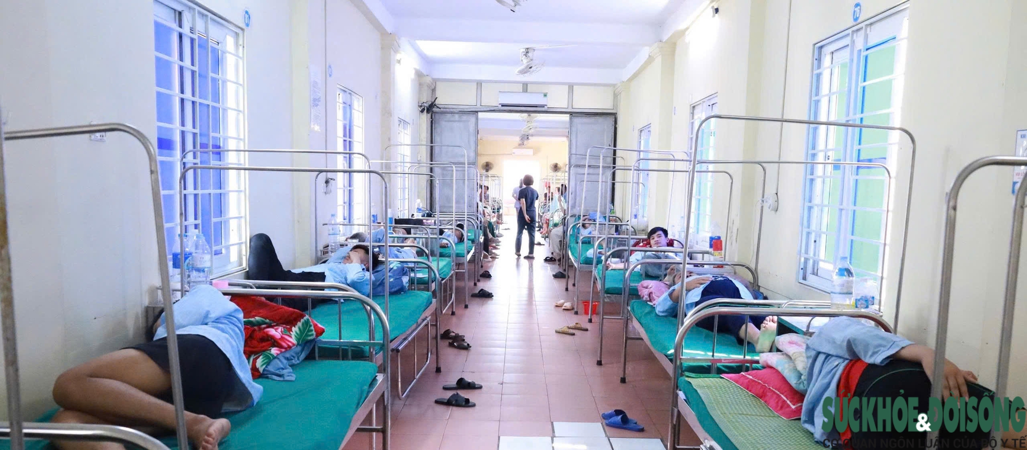 Phát hiện vi khuẩn Salmonella trong bánh mì gây ra vụ ngộ độc ở Nghệ An- Ảnh 2.