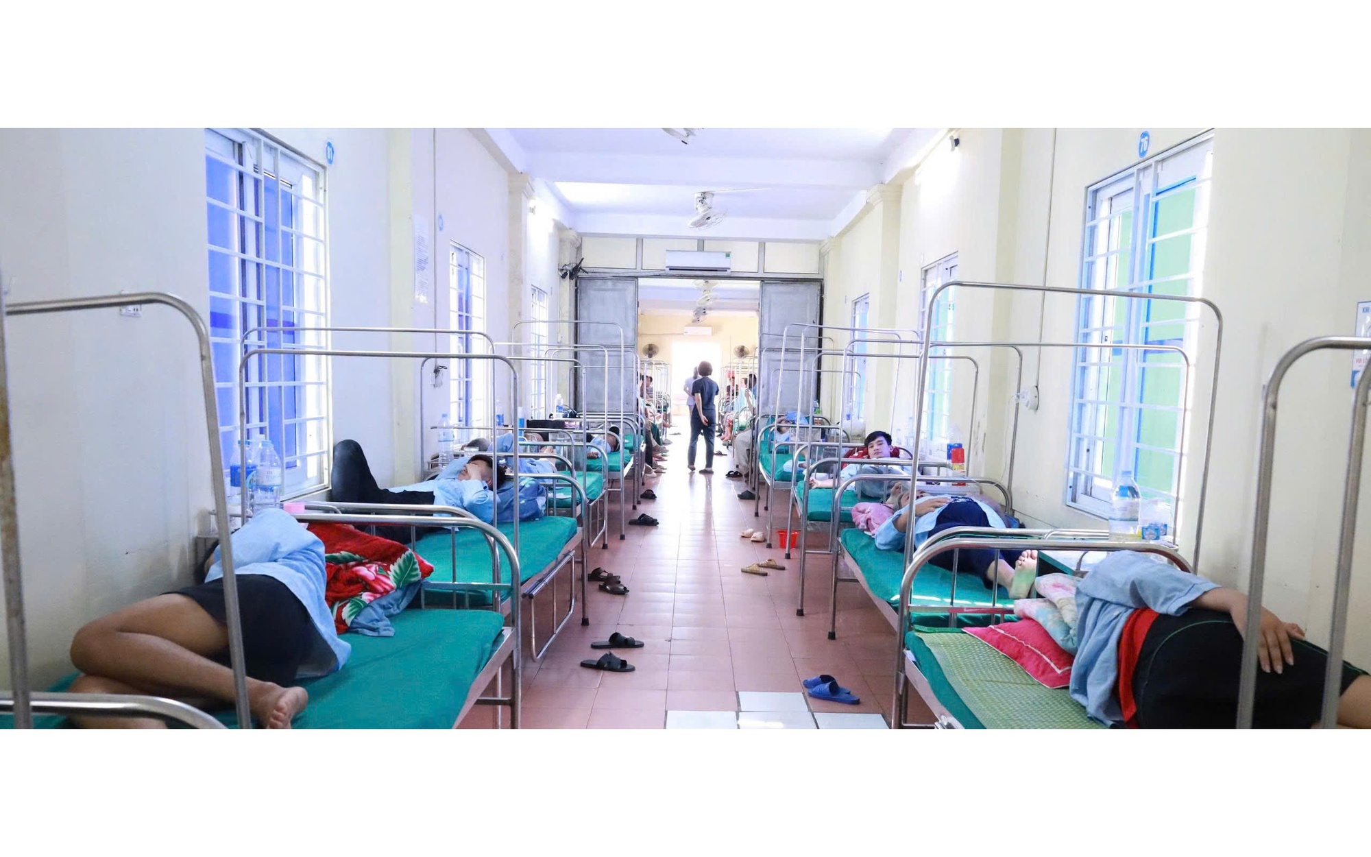 Phát hiện vi khuẩn Salmonella trong bánh mì gây ra vụ ngộ độc ở Nghệ An