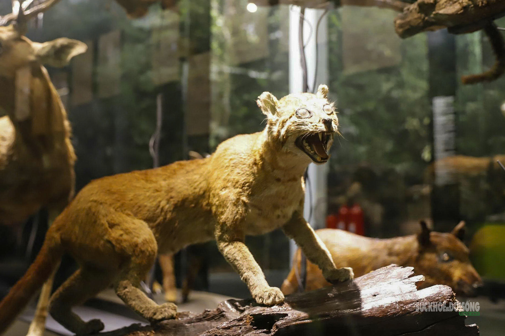 Điểm chạm di sản đang hút khách ở Thủ đô- Ảnh 7.