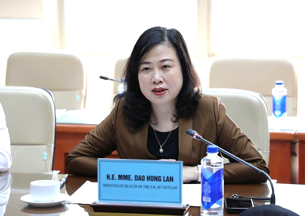 Bộ trưởng Đào Hồng Lan tiếp nguyên Đại sứ Hoa Kỳ tại Việt Nam, thúc đẩy hợp tác y tế hai nước- Ảnh 1.