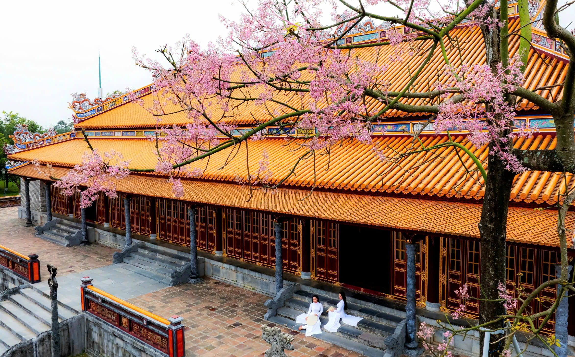 Lạc bước giữa sắc hoa ngô đồng nơi Hoàng cung Huế- Ảnh 2.