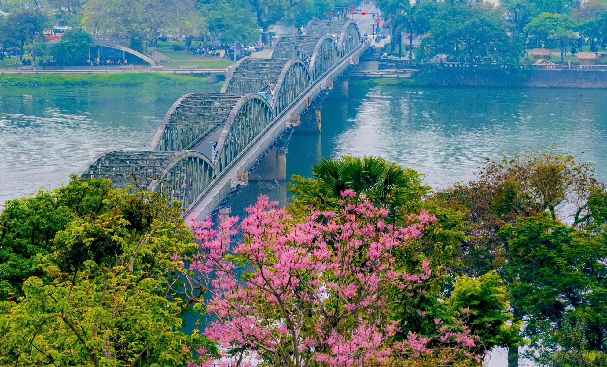 Lạc bước giữa sắc hoa ngô đồng nơi Hoàng cung Huế- Ảnh 11.