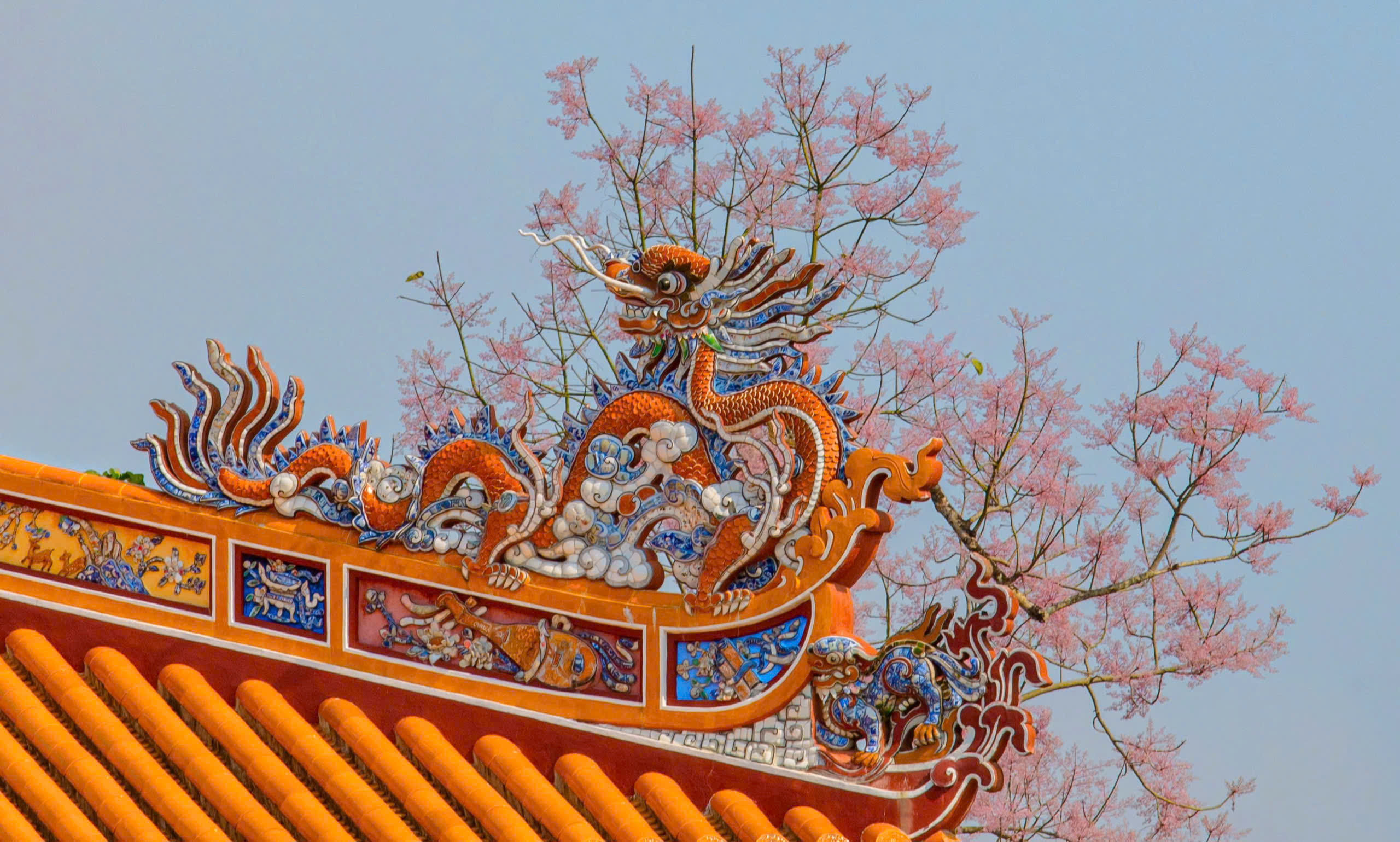 Lạc bước giữa sắc hoa ngô đồng nơi Hoàng cung Huế- Ảnh 3.