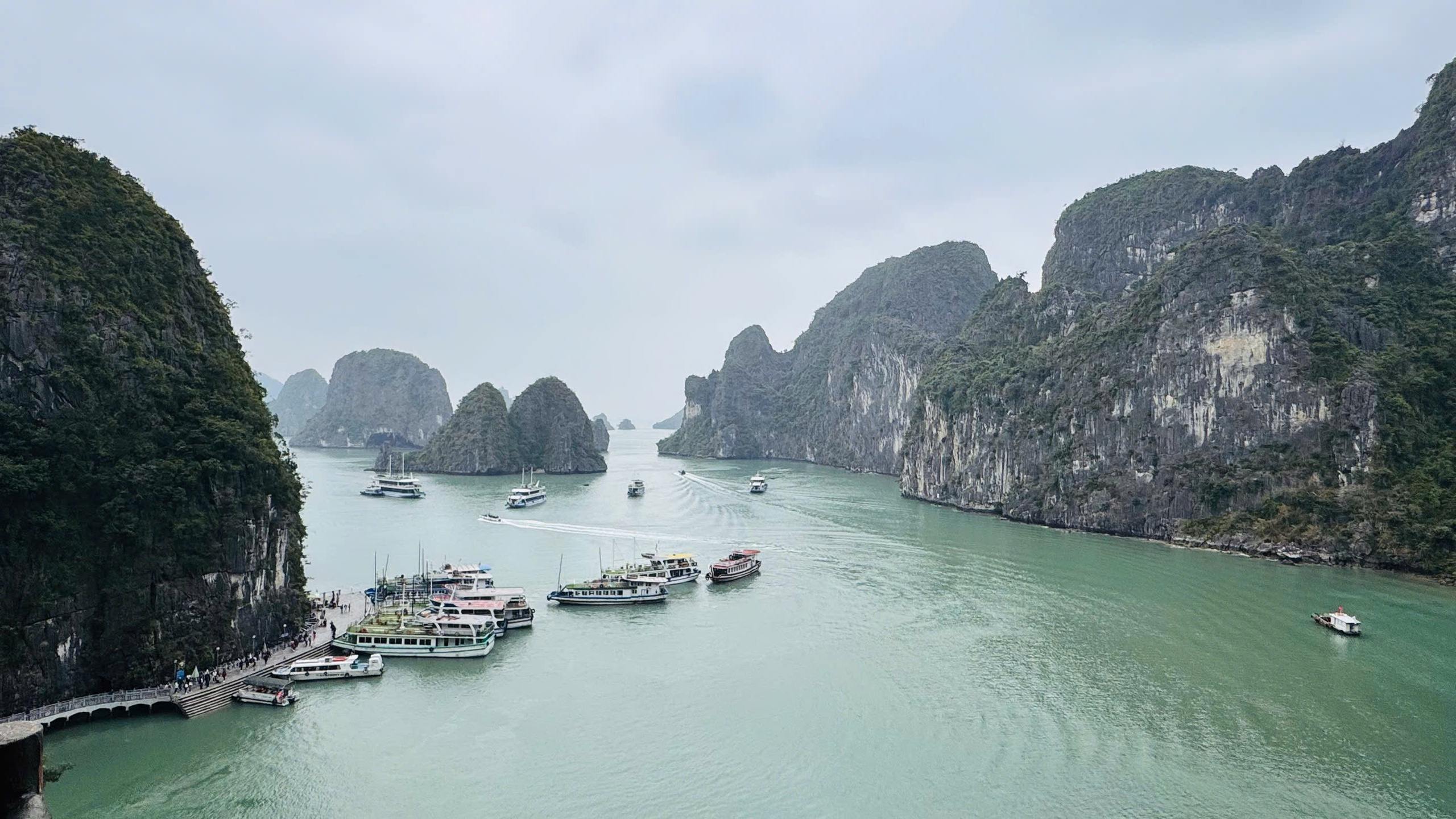 Quảng Ninh triển khai tổ y tế thường trực cấp cứu trên vịnh Hạ Long- Ảnh 1.