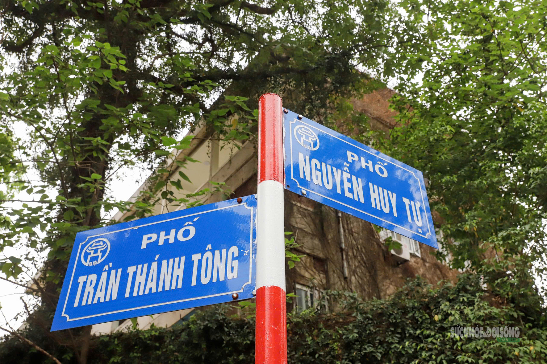 Zone 9 ở Trần Thánh Tông được tháo dỡ để mở rộng Nhà tang lễ Quốc gia- Ảnh 2.