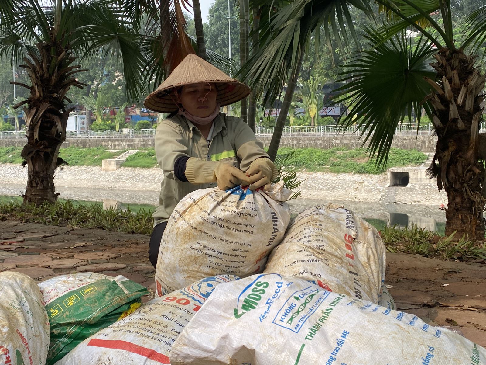 Tình trạng rác thải tái diễn trên sông Tô Lịch sau gần một năm cải tạo- Ảnh 5.