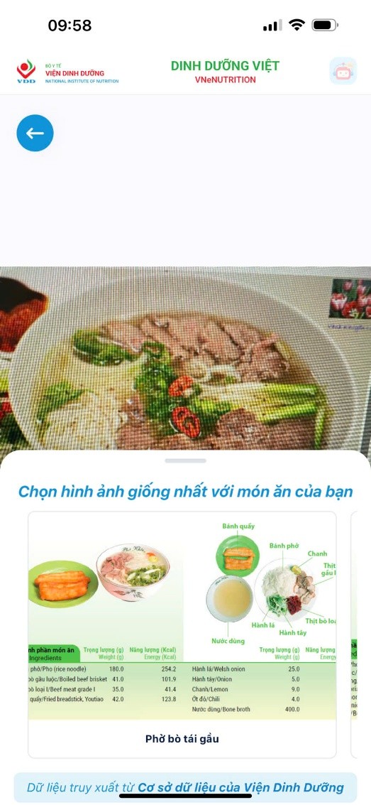 L'application « Nutrition vietnamienne » : Transformation numérique de la nutrition pour la santé de tous les citoyens - Photo 2. Ứng dụng 'Dinh dưỡng Việt': Chuyển đổi số dinh dưỡng vì sức khỏe toàn dân- Ảnh 2.