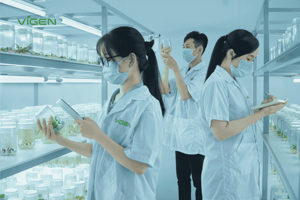 Cây giống ViGen - Khát vọng nâng tầm giá trị nông sản Việt bằng công nghệ sinh học 4.0- Ảnh 1. Cây giống ViGen - Khát vọng nâng tầm giá trị nông sản Việt bằng công nghệ sinh học 4.0- Ảnh 1.