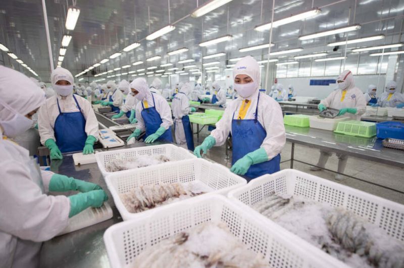 KBSV nhận định, tiềm năng tăng giá của cổ phiếu FMC có thể đạt 47%- Ảnh 1.