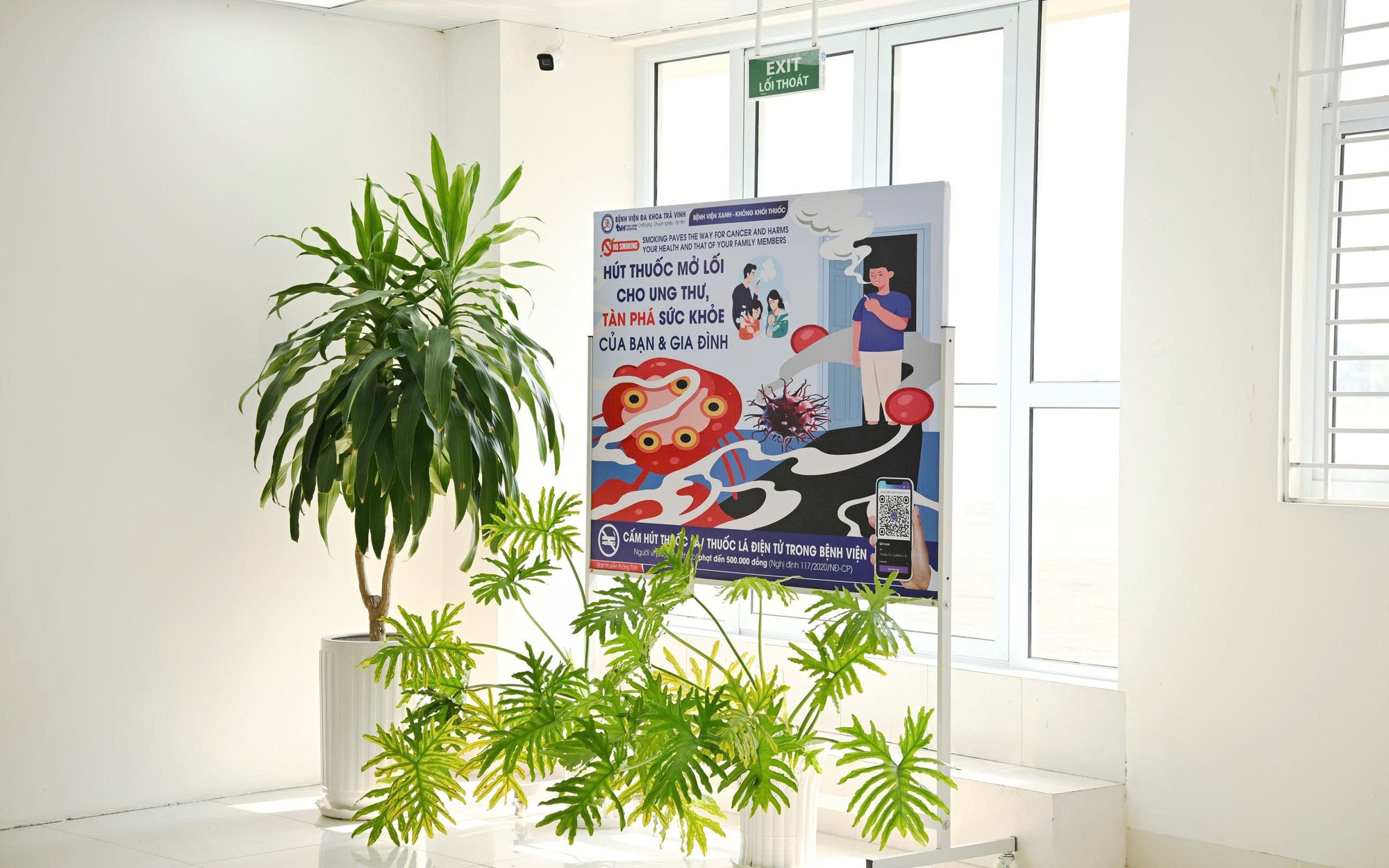 Cấm thuốc lá mới, mở rộng môi trường không khói thuốc: Kinh nghiệm quốc tế và bài toán thực thi tại Việt Nam