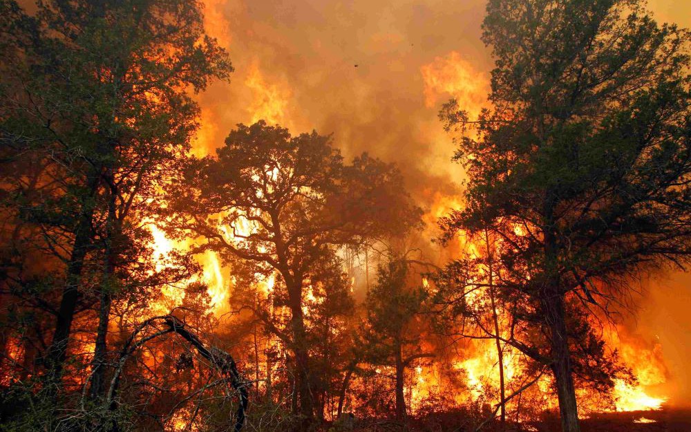 Cháy nhà lúc rạng sáng ở Hà Nội, giải cứu an toàn 2 người mắc kẹt- Ảnh 3. Cháy nhà lúc rạng sáng ở Hà Nội, giải cứu an toàn 2 người mắc kẹt- Ảnh 3.