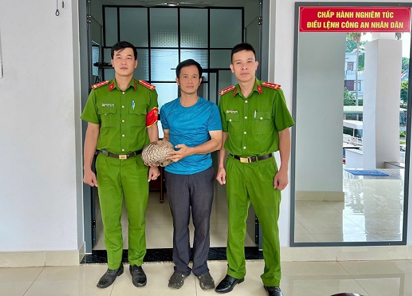 Phát hiện tê tê quý hiếm, người dân báo công an giao nộp cho Hạt kiểm lâm- Ảnh 1.