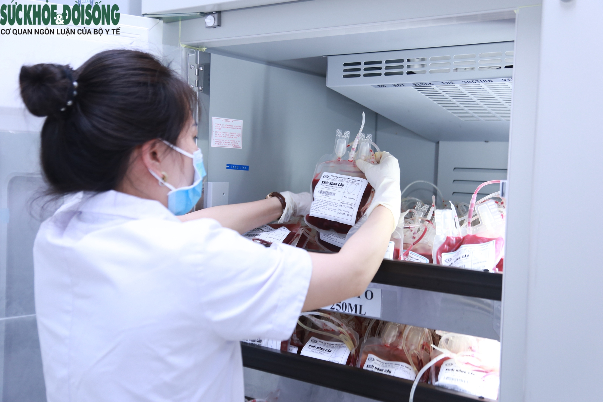 Ngành Y tế Nghệ An hiến máu, giữ nhịp điều trị- Ảnh 6. Ngành Y tế Nghệ An hiến máu, giữ nhịp điều trị- Ảnh 6.