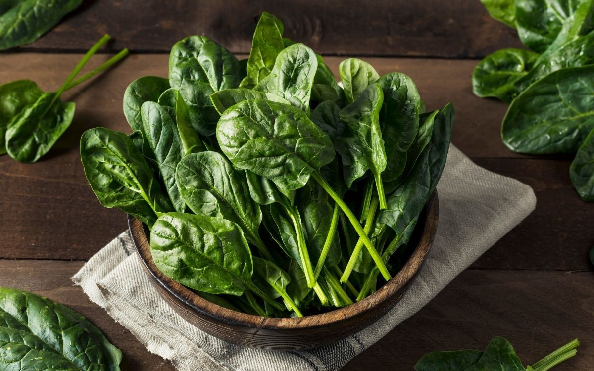 Cách ăn nghệ giúp hỗ trợ phục hồi tổn thương gan- Ảnh 2. Một loại rau bình dân đặc biệt tốt cho gan