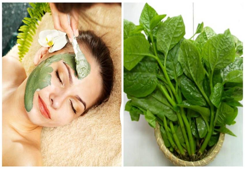 Ngạc nhiên về khả năng chống lão hóa của loại rau sẵn có- Ảnh 1. Ngạc nhiên về khả năng chống lão hóa của loại rau sẵn có- Ảnh 1.