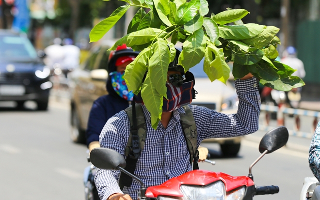 Nắng nóng gay gắt kéo dài, khuyến cáo các biện pháp bảo vệ sức khỏe
