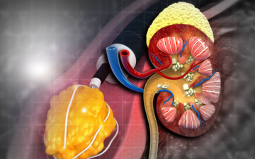 photo 1775549966085 17755499668451924831996 0 40 225 400 crop 17755504737031319565164