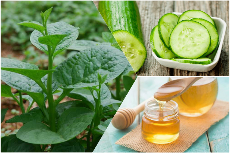 Tạm biệt tóc khô xơ với mặt nạ từ loại rau rẻ tiền, dễ kiếm- Ảnh 1.