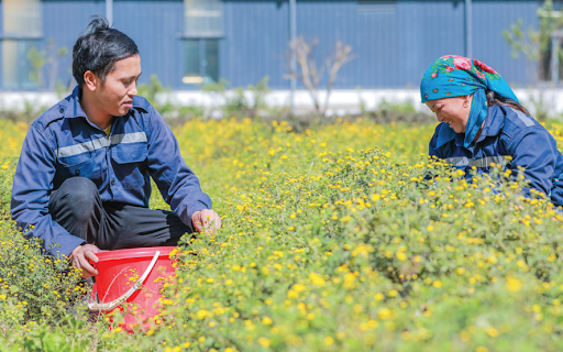 Dược liệu không chỉ là tài nguyên thiên nhiên mà còn là 'tài sản sức khỏe'