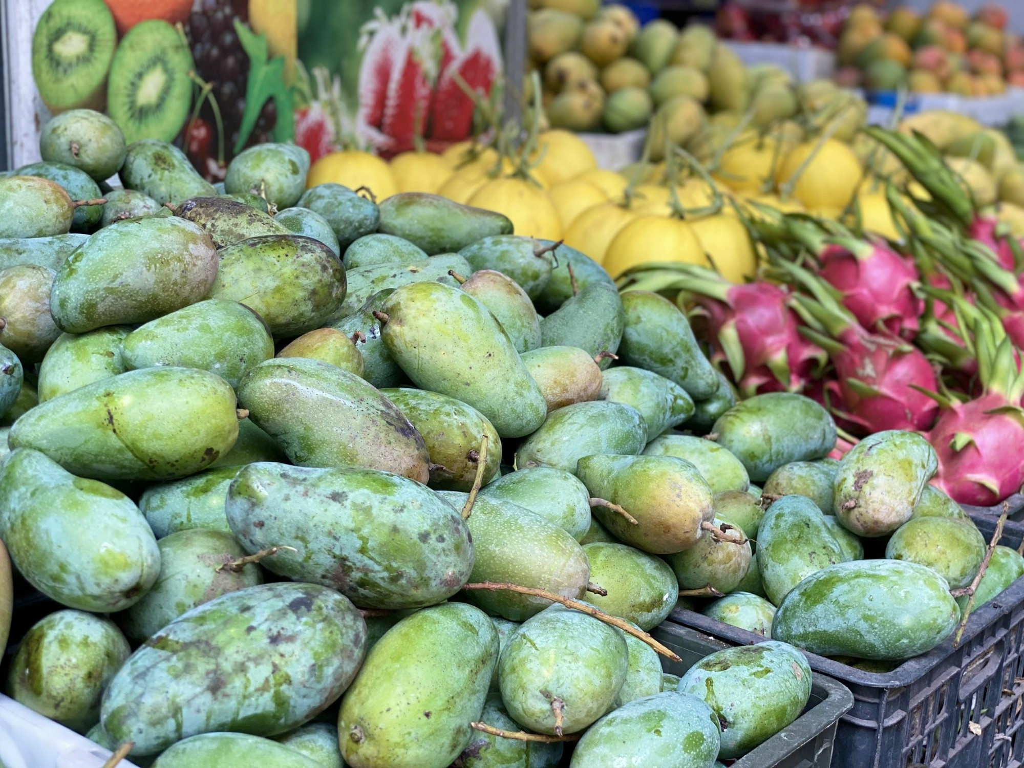 Một loại xoài Việt đang bán đầy chợ giá chỉ hơn chục nghìn đồng/kg, tiểu thương tiêu thụ hàng tạ mỗi ngày ai nhìn cũng muốn mua- Ảnh 4.