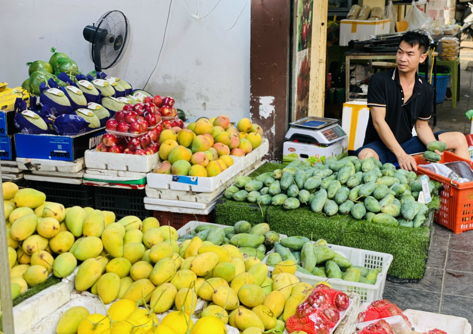 Một loại xoài Việt đang bán đầy chợ giá chỉ hơn chục nghìn đồng/kg, tiểu thương tiêu thụ hàng tạ mỗi ngày ai nhìn cũng muốn mua- Ảnh 1.