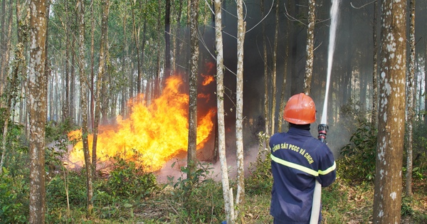Ngày mai nắng nóng lan rộng ra toàn miền Bắc, cảnh báo nguy cơ cháy rừng- Ảnh 1.