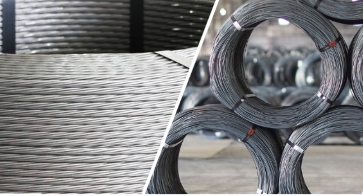 Công ty Xuất nhập khẩu Thiên Nam vi phạm chứng khoán- Ảnh 1. Công ty Xuất nhập khẩu Thiên Nam vi phạm chứng khoán- Ảnh 1.