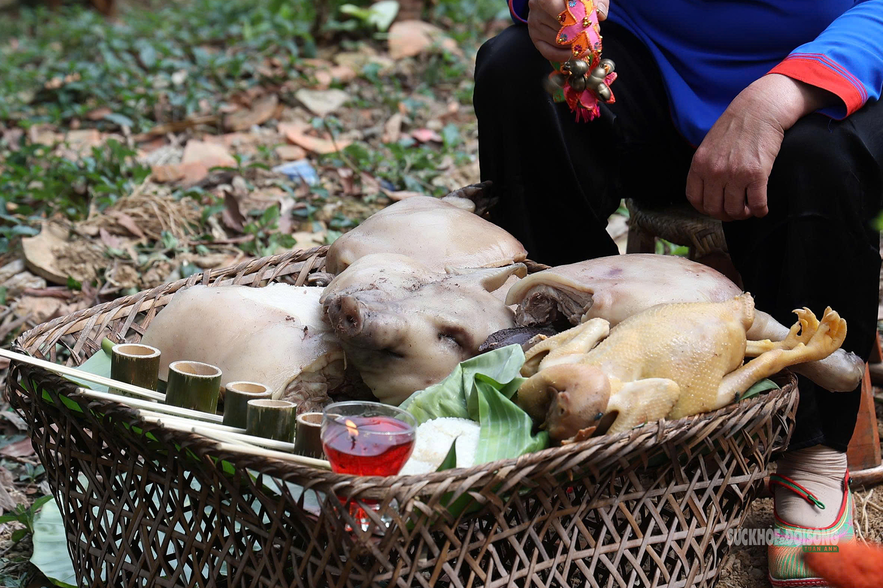 Theo chân người Giáy vào rừng dự lễ Háu Đoong- Ảnh 4.