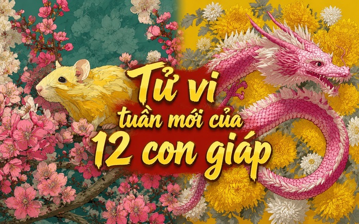 Tử vi tuần mới 12 con giáp 11-17/5: Ngọ trắc trở, Dậu tài lộc khởi sắc
